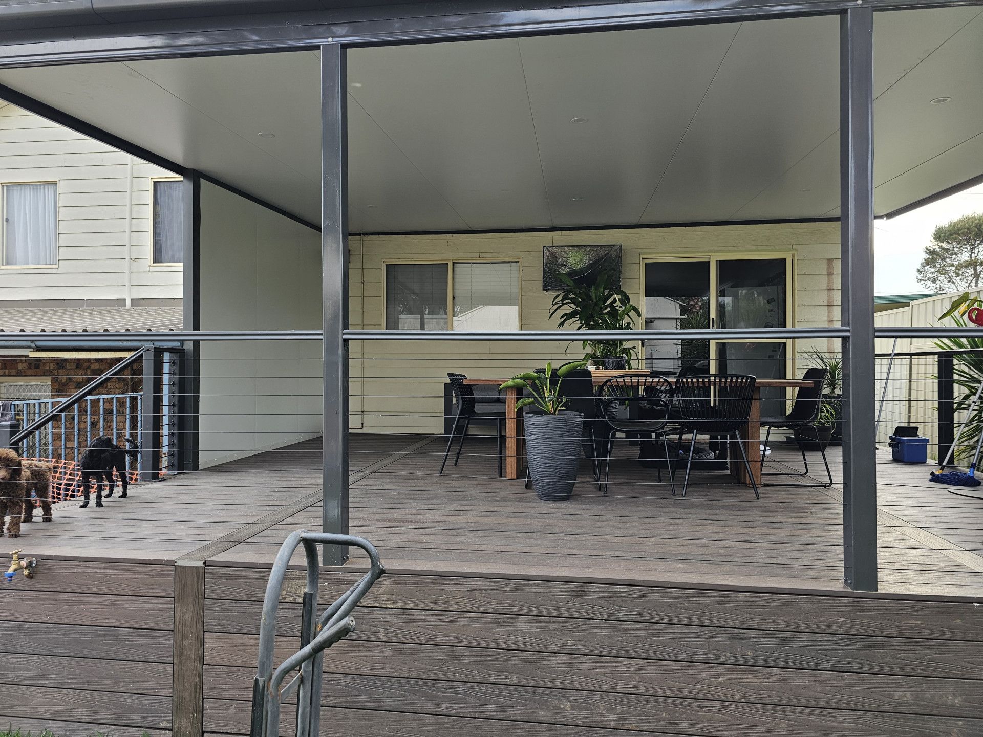 A group of dogs are standing on a deck under a covered porch. — Nicho's Home Maintenance In Tamworth, NSW