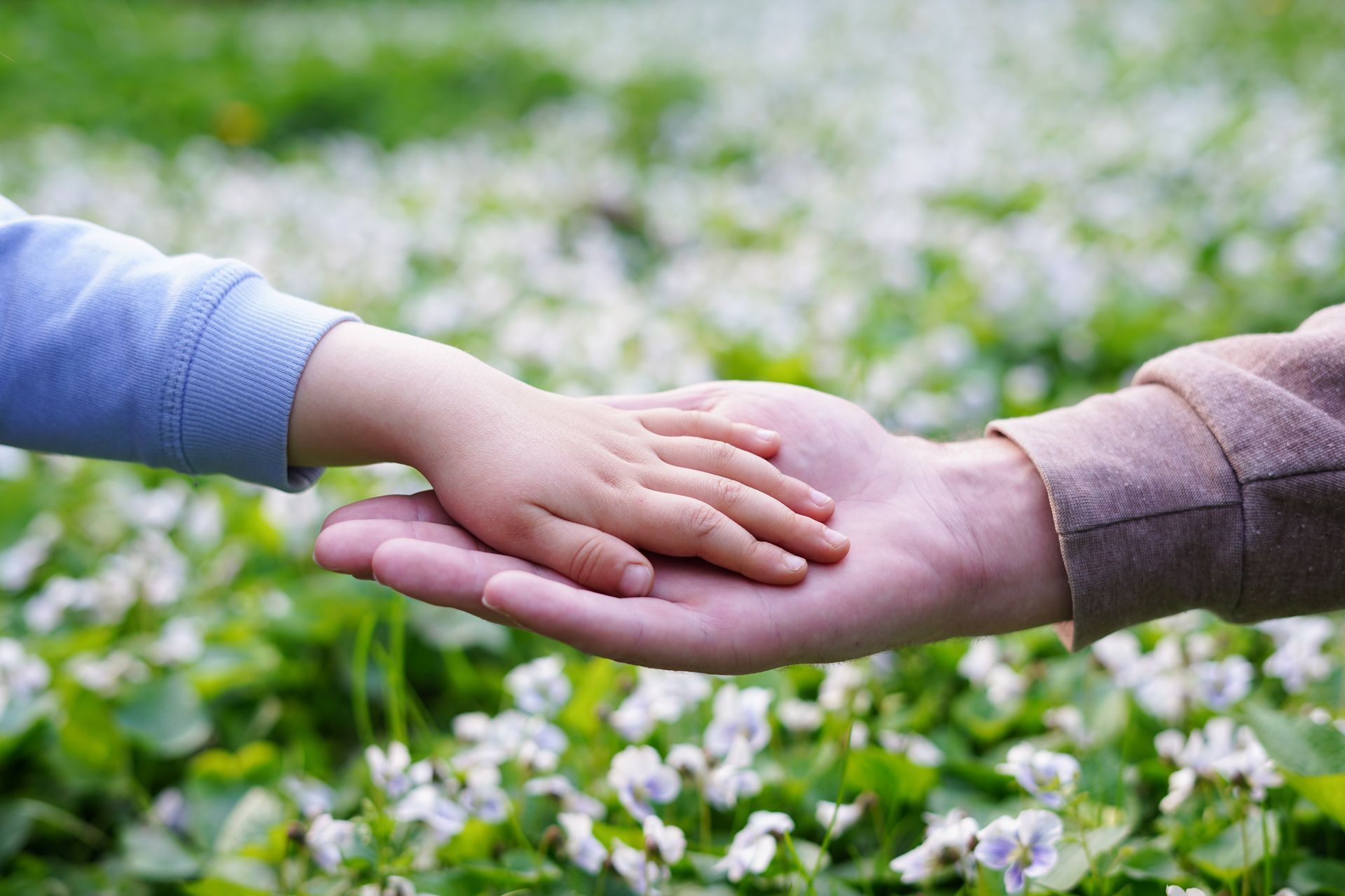 Child's hand resting in the open palm of an adult's hand, both against a background of white flowers.