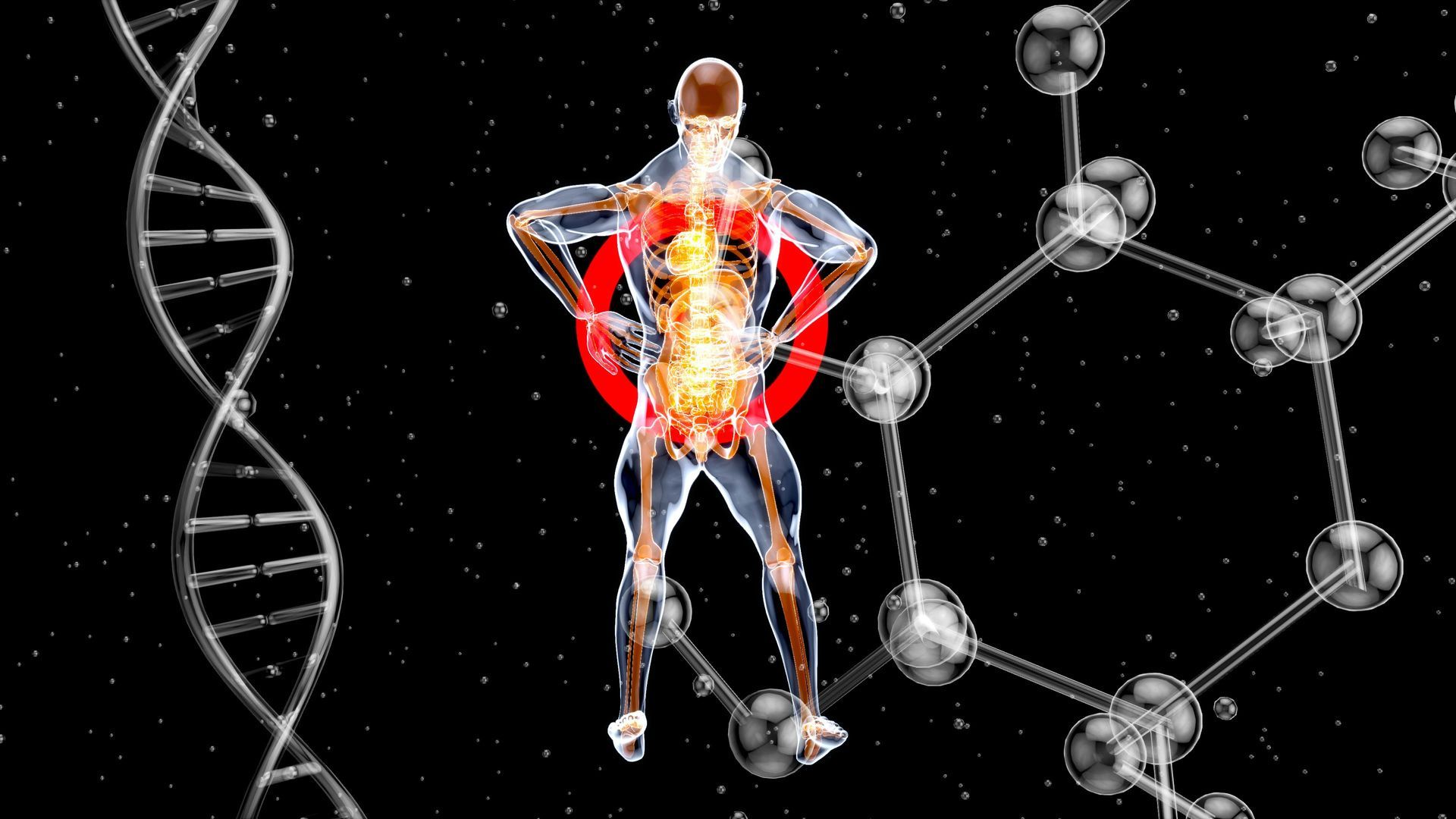 Human figure with illuminated internal organs highlighted in red, surrounded by DNA and molecular structures.