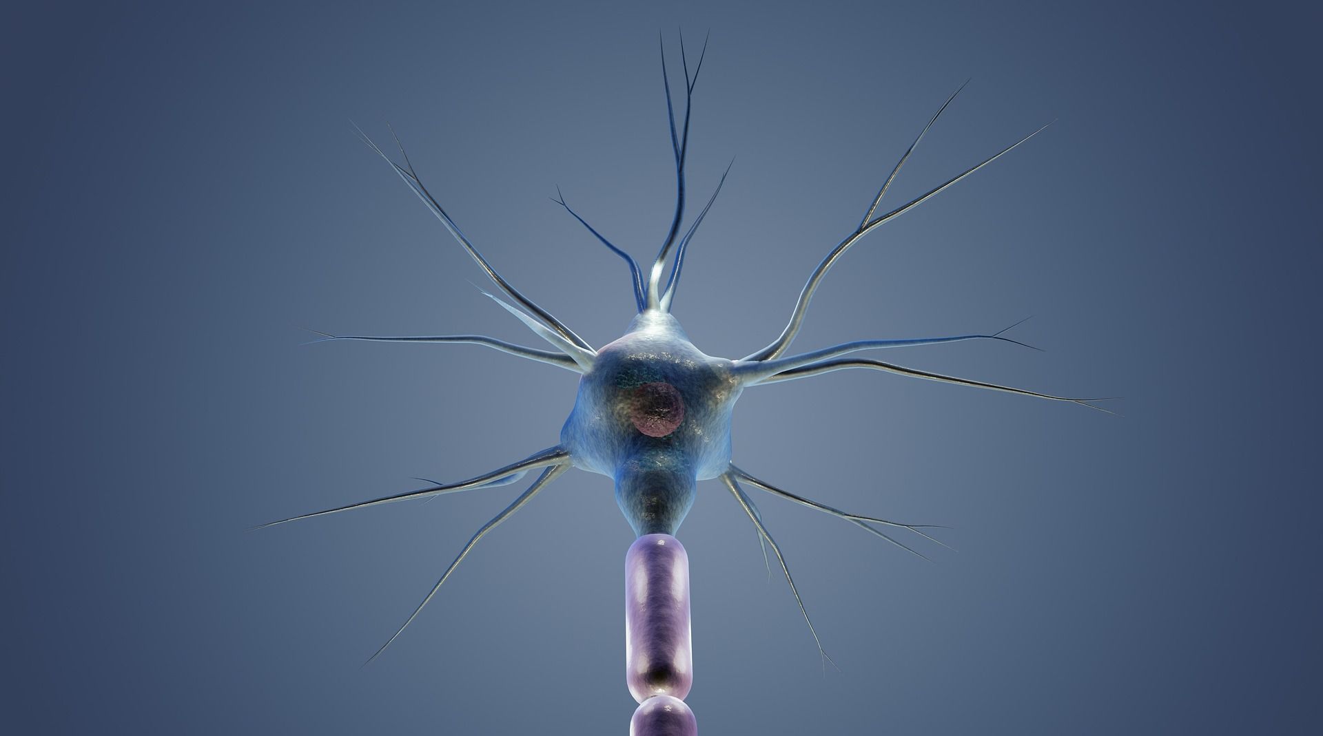 Neuron with branching dendrites and an axon, rendered against a blue background.
