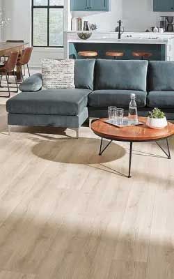 Living room with blue sectional sofa