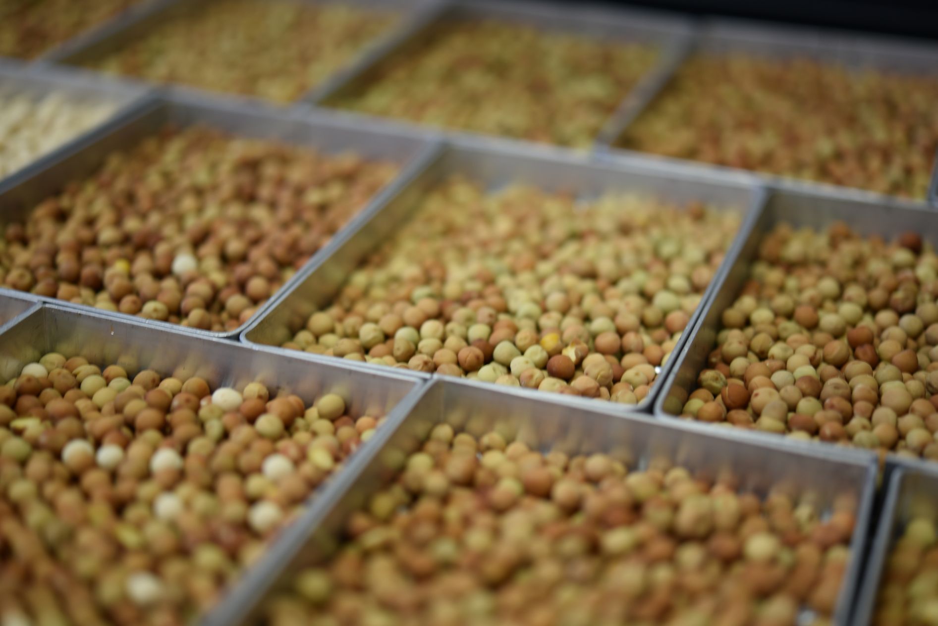 Harvested Peas — Pulse Grains in Australia