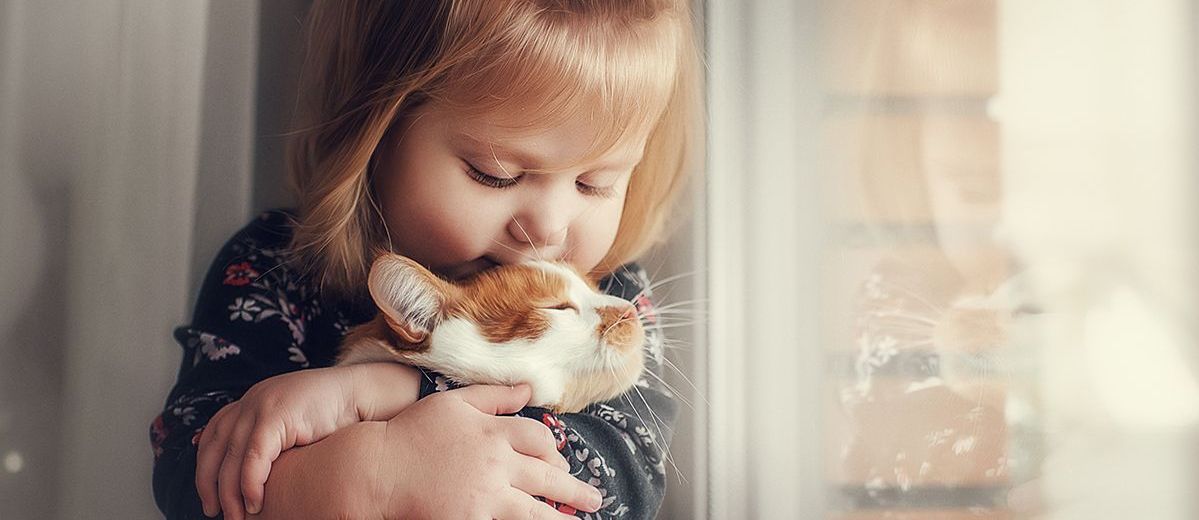 little girl holding cat