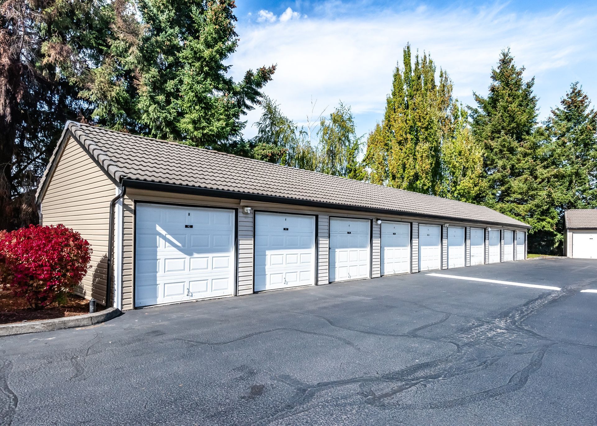 Row of white garage doors along a paved lot with trees in the background.