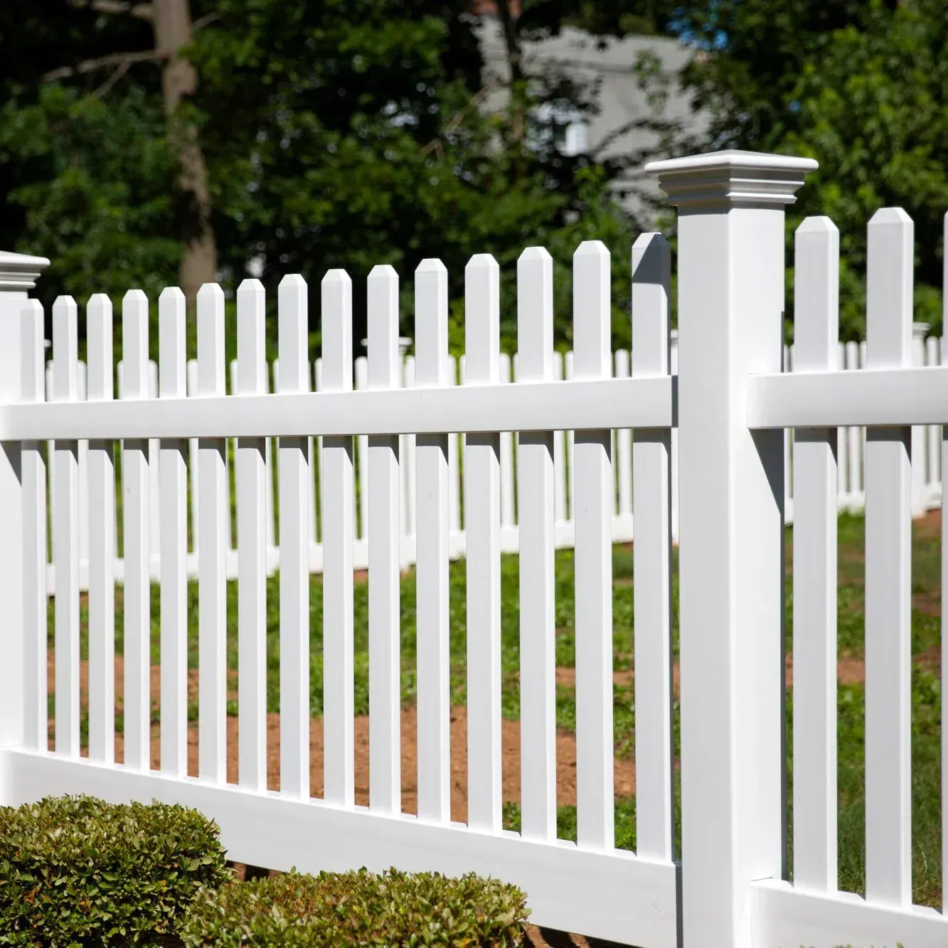 A white picket fence surrounds a yard with trees in the background