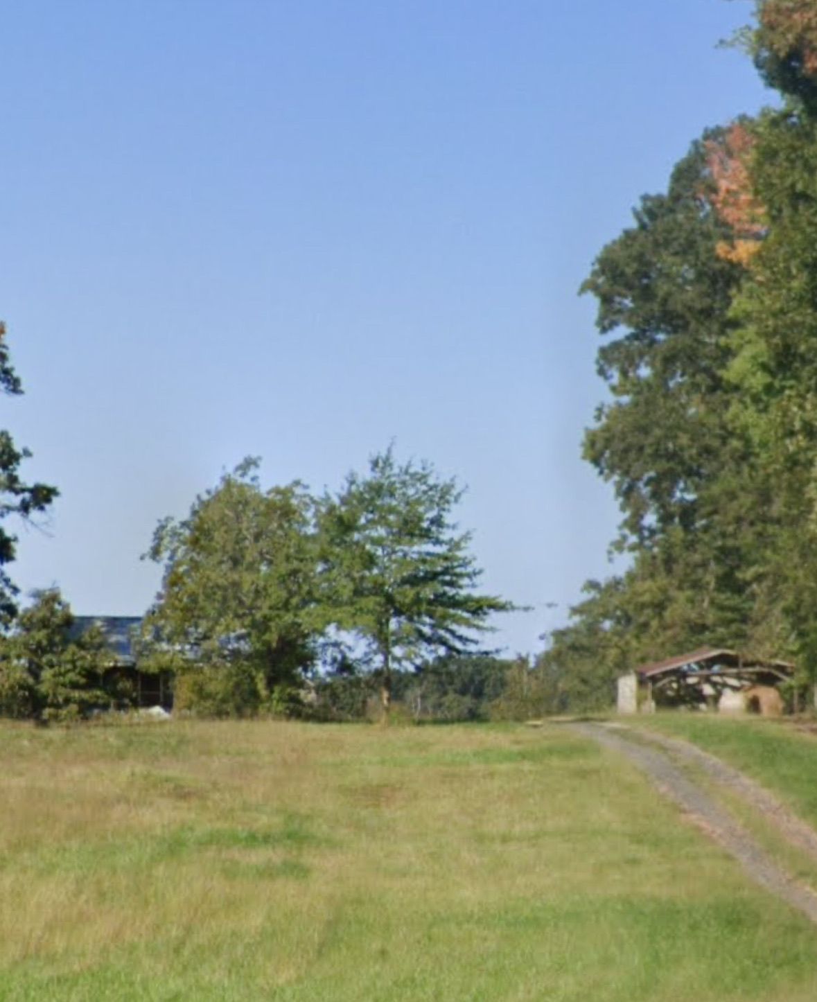 A dirt road going through a grassy field with trees in the background