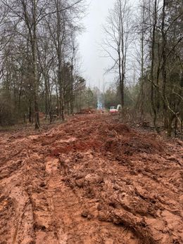 A muddy road in the middle of a forest.