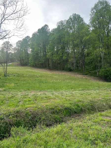 A grassy field with trees in the background on a cloudy day.