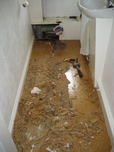 Gallery-Toilet&FloorReplace-2-Large