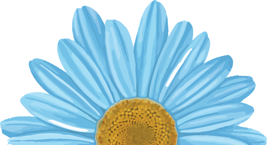 A close up of a blue flower with a yellow center on a white background.