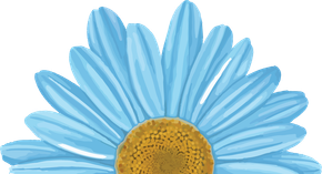 A close up of a blue flower with a yellow center on a white background.