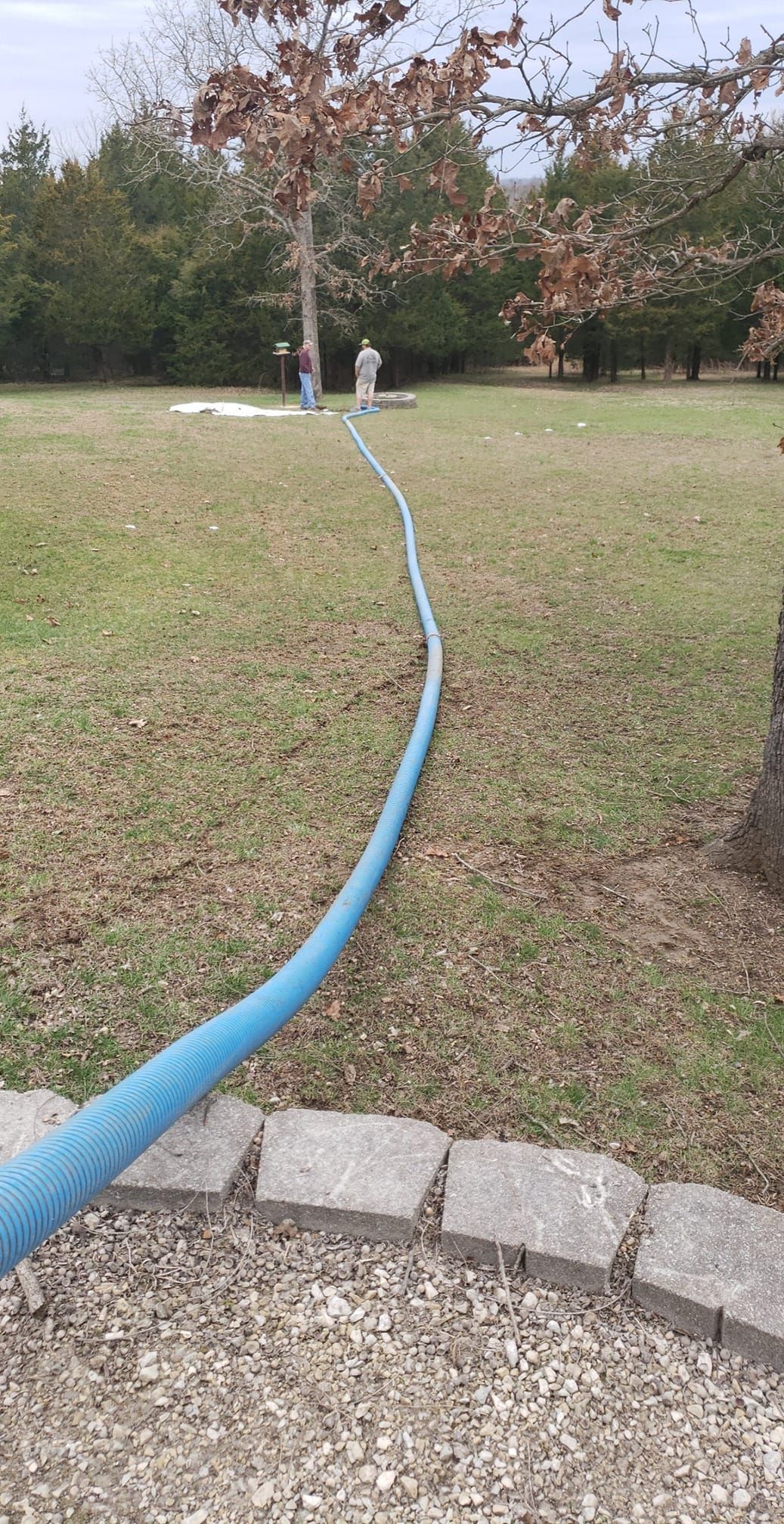 Blue hose stretches across a grassy lawn towards a tree, near a stone border.