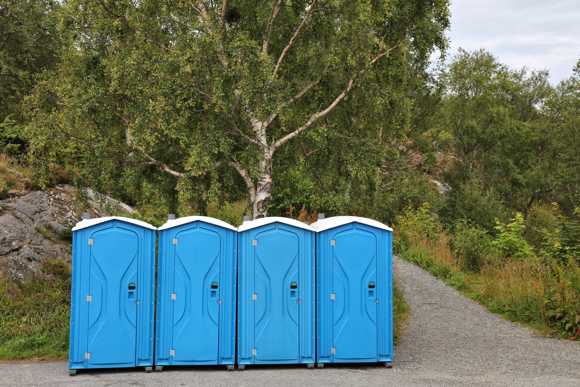 Four blue portable toilets in front of a tree and gravel path in a natural setting.