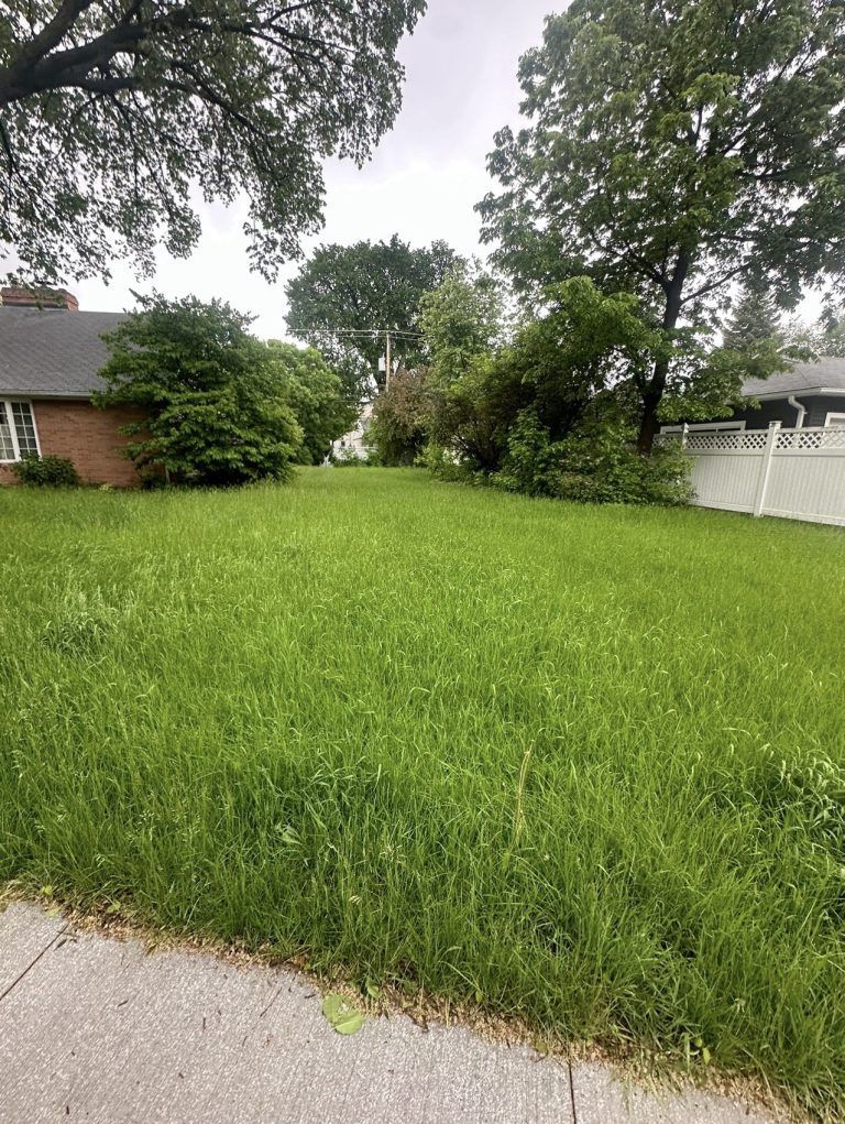 A lush green yard with a brick house in the background.