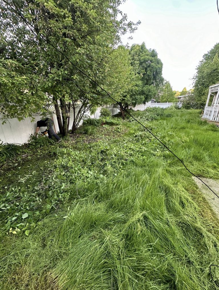A person is mowing the grass in a backyard.