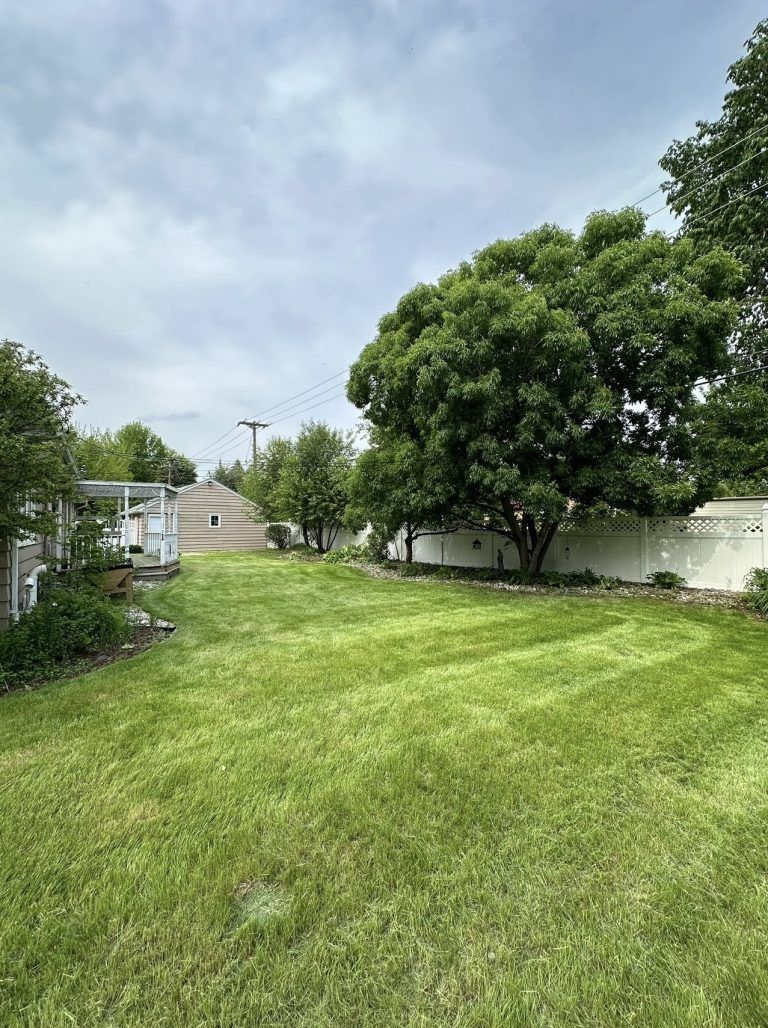 A large lush green yard with trees and a house in the background.
