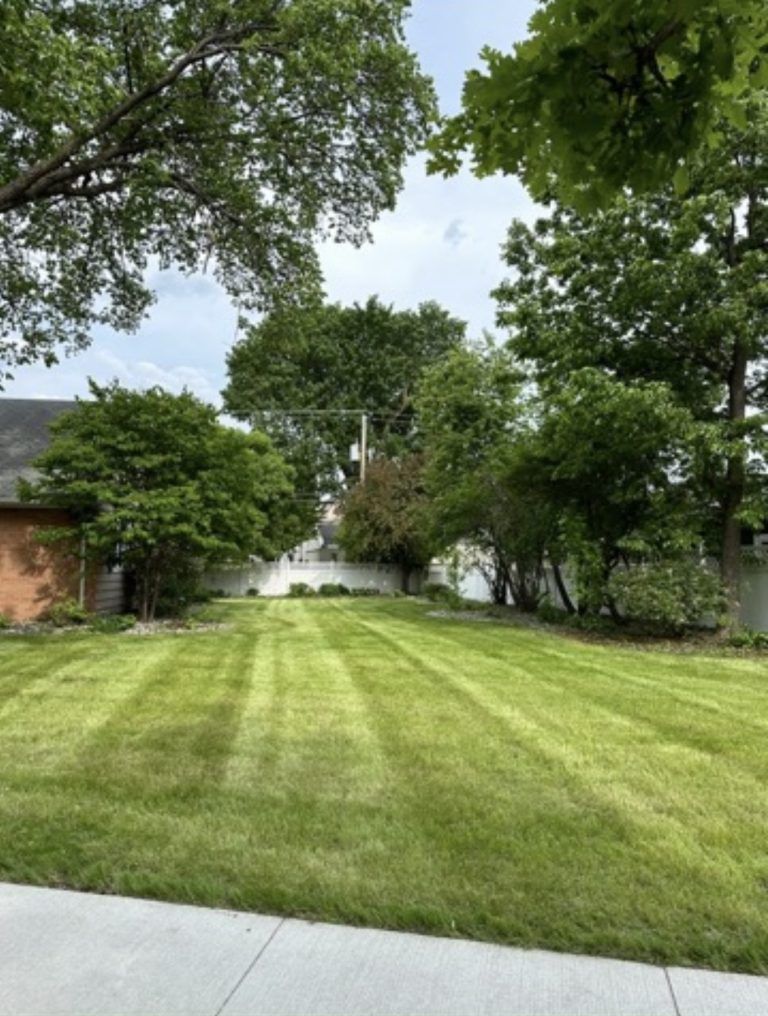 A lush green lawn with trees and a house in the background
