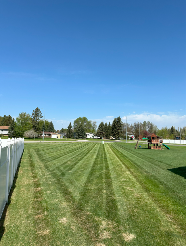 Lawn with mowing stripes, fence, trees, and blue sky.