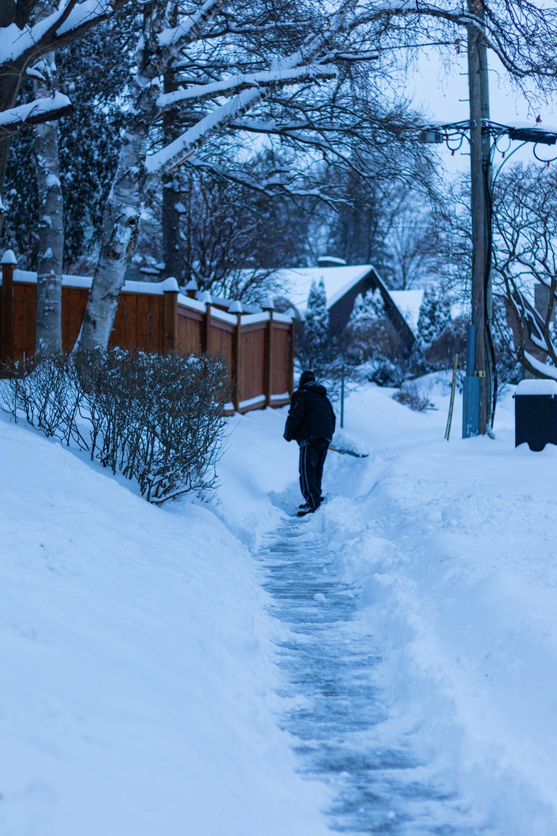 A person walks down a snow-covered path next to a wooden fence and trees on a winter day.