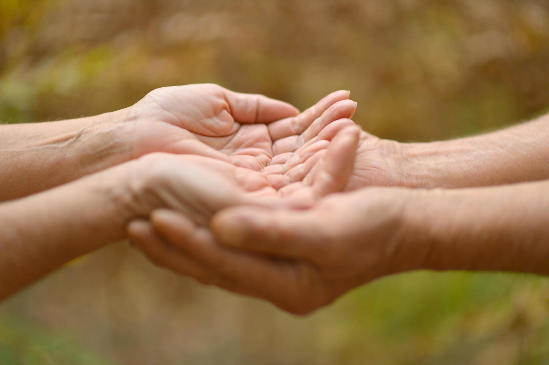 Picture of child's cupped hands being held by an adult male's cupped hands