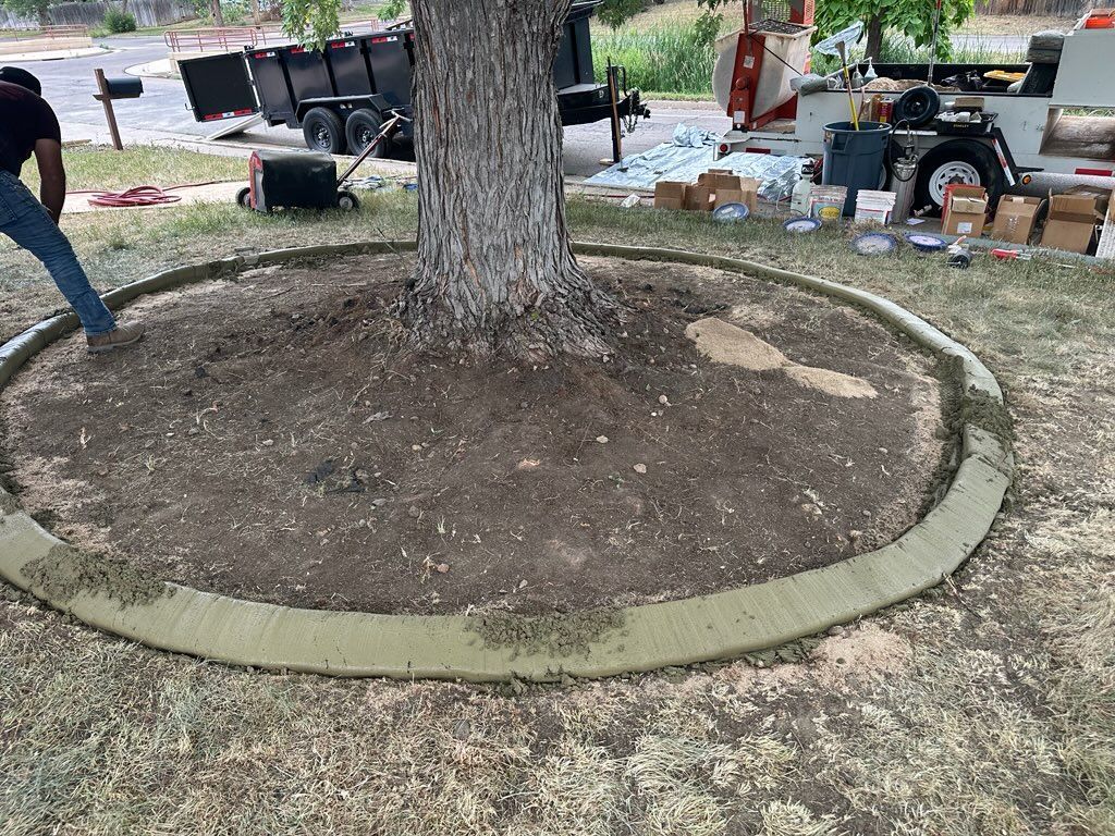 A person installing a concrete border around a tree trunk in a yard.