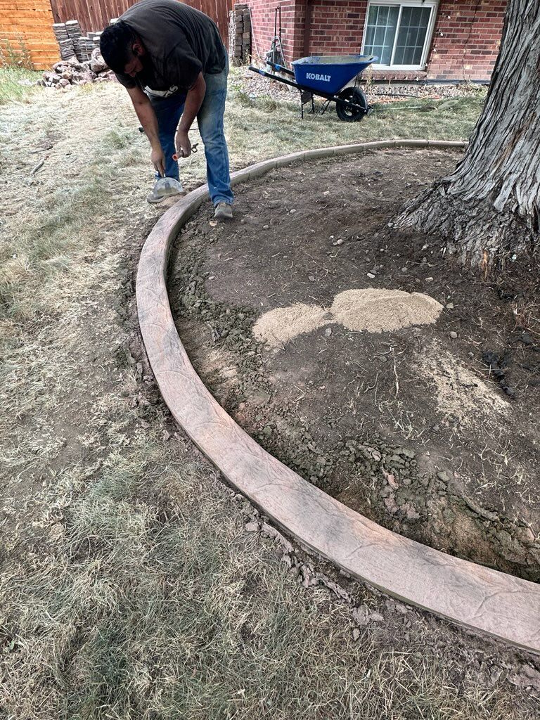 Person installing a curved concrete border around a tree in a yard.