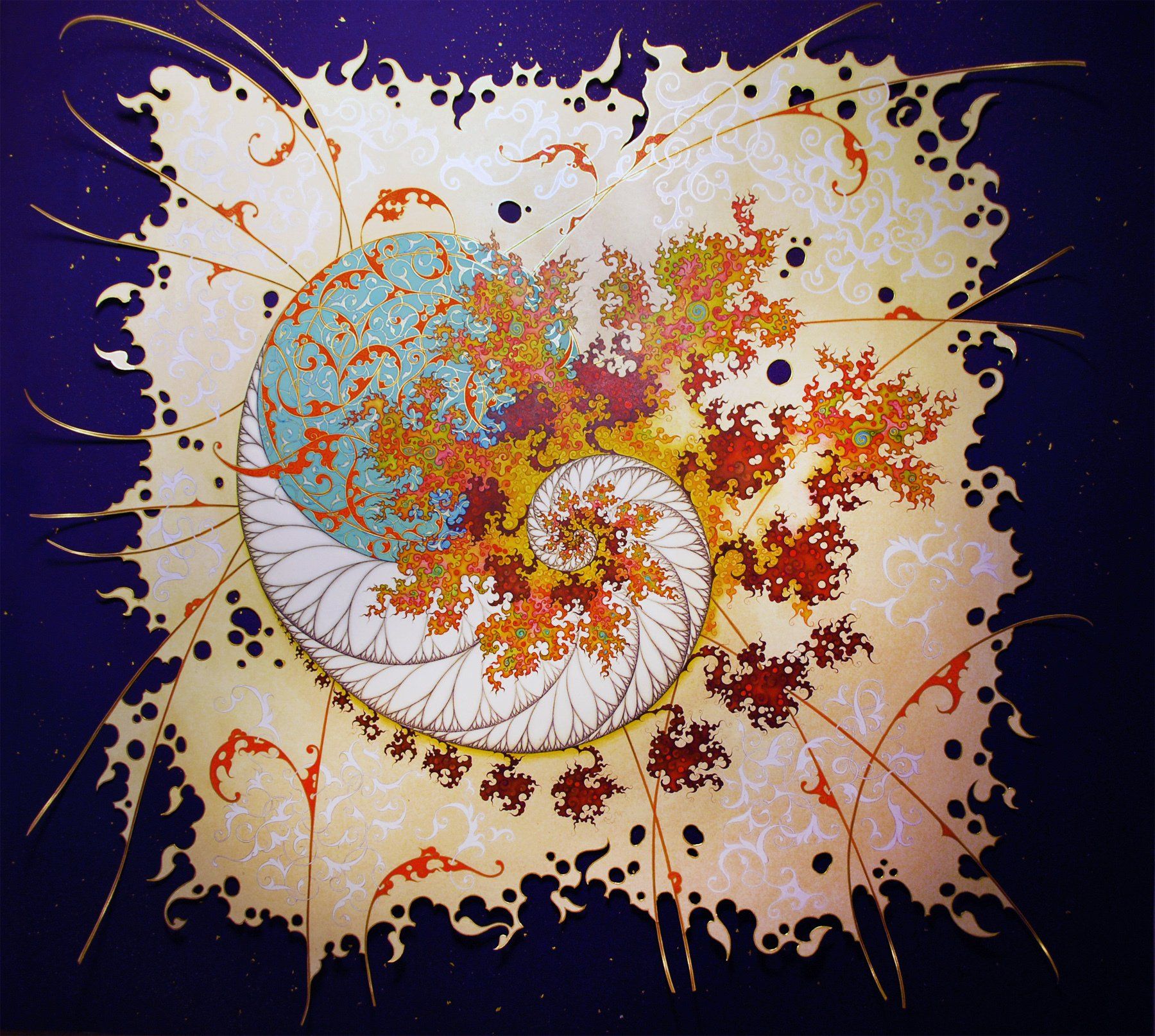 Fibonacci mollusc in Islamic illumination