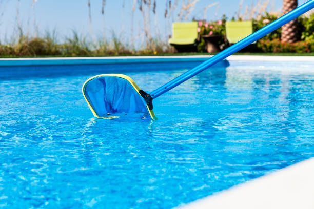 Skimmer net cleaning backyard pool water.