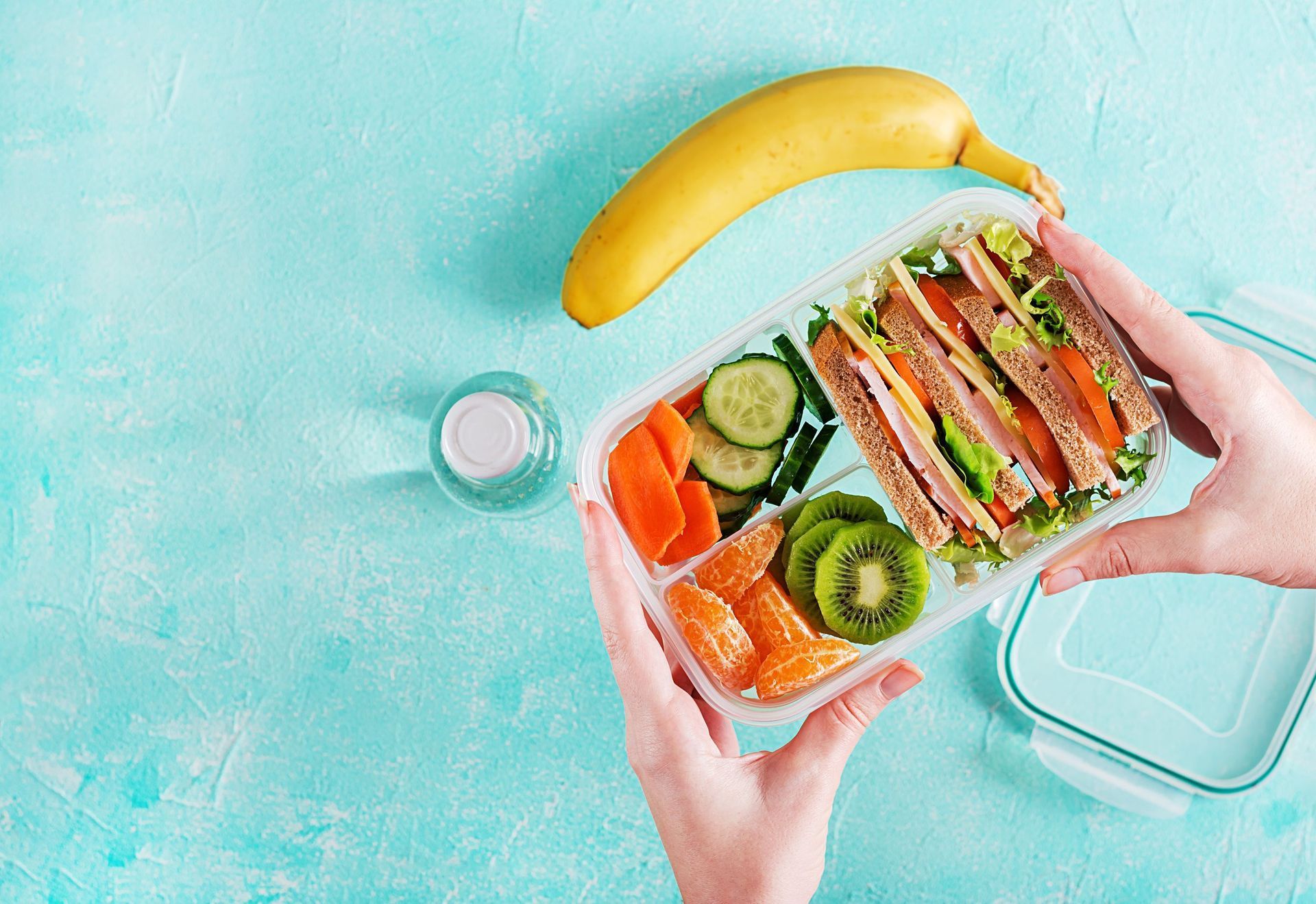 A Lunch Box Filled With Sandwiches, Fruits and Vegetables — New Leaf Dentists in Erina, NSW