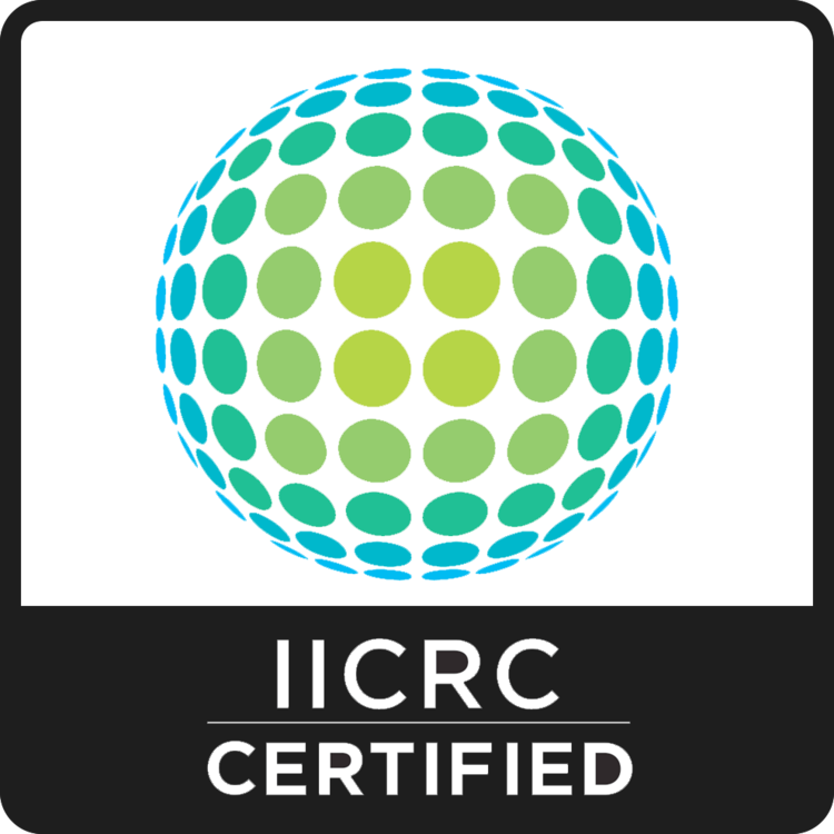 IICRC Certified logo with a globe made of green and blue circles.