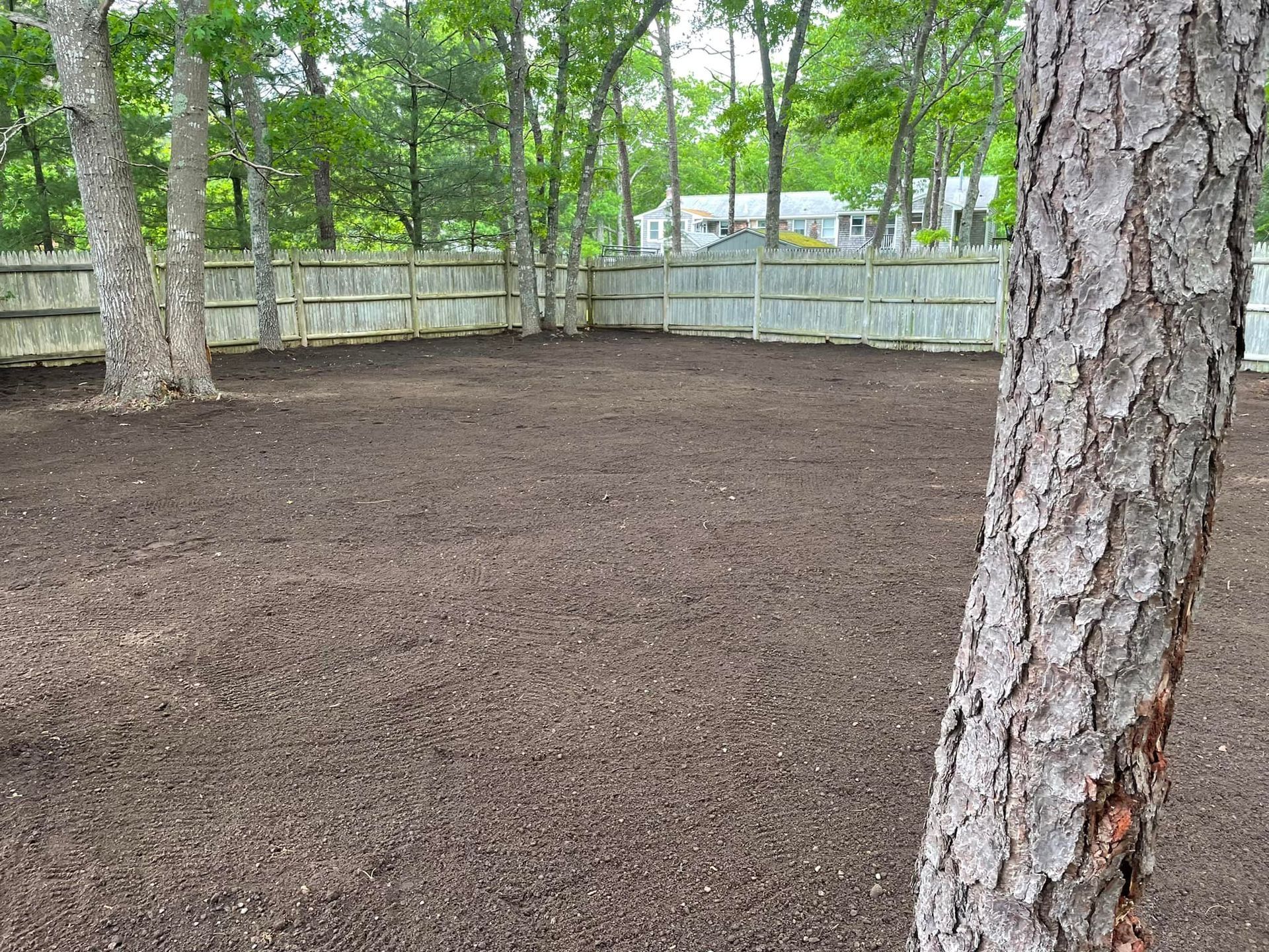 A cleared backyard with brown soil, surrounded by a wooden fence and trees.