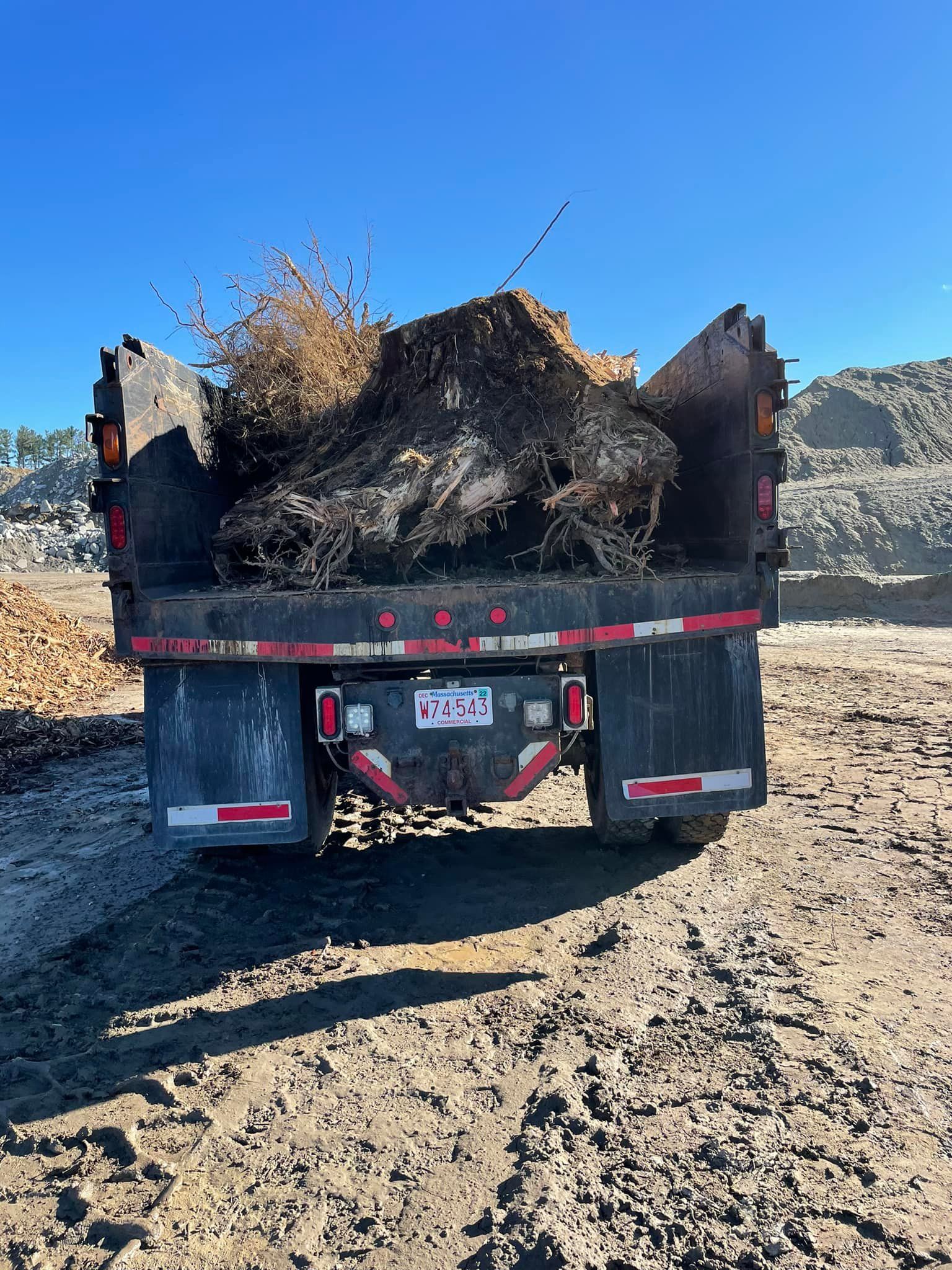 Dump truck bed filled with brush against a bright blue sky.
