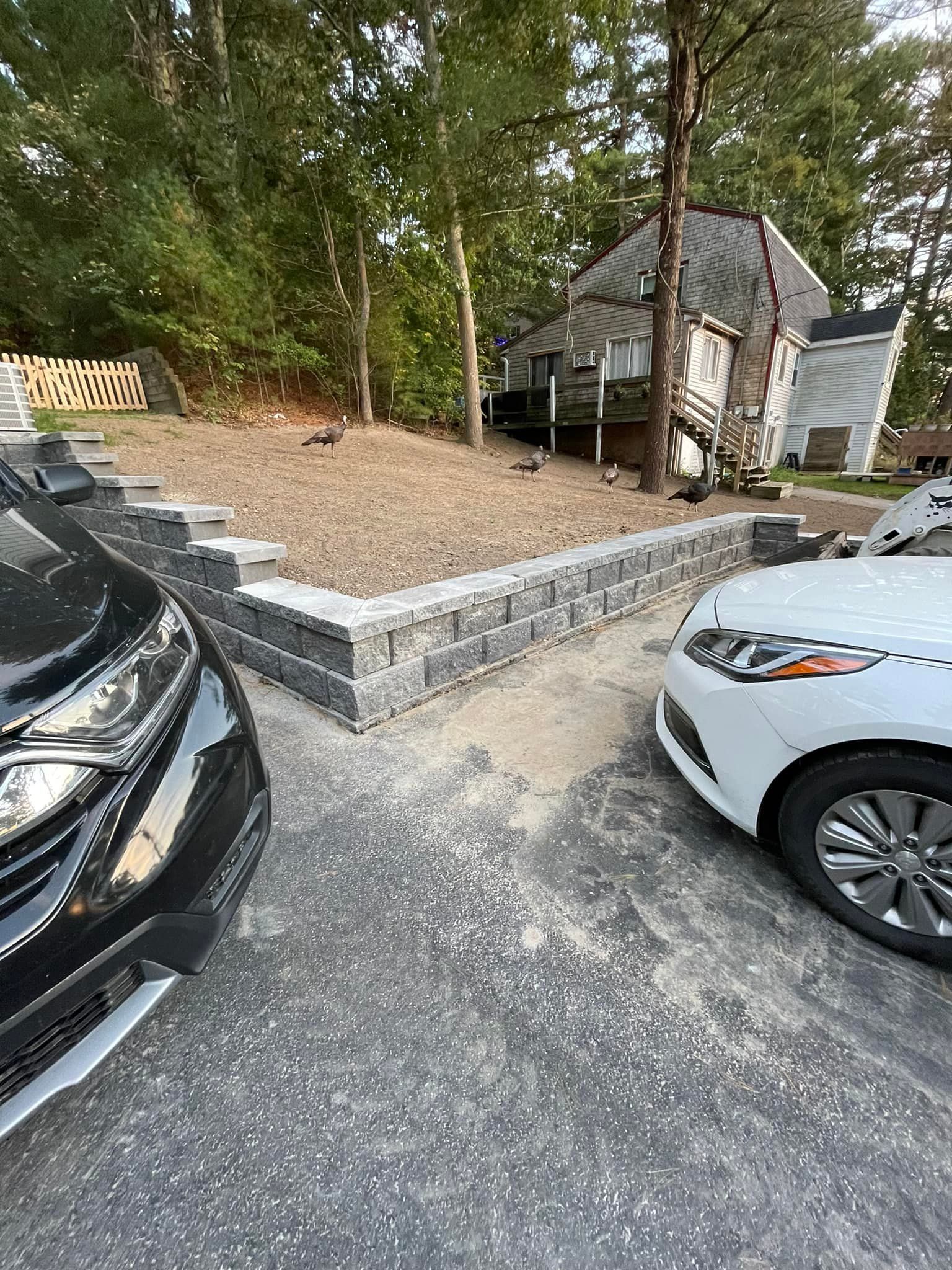 Black and white cars flank a retaining wall with steps. A house and trees are in the background.