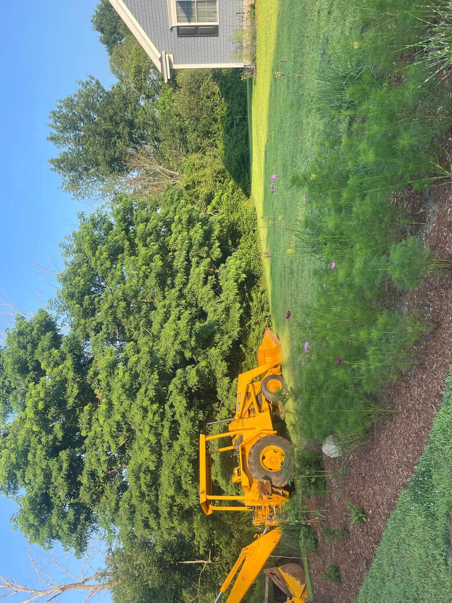 Yellow tractor near a large tree and a house with a gray roof; green lawn and blue sky.