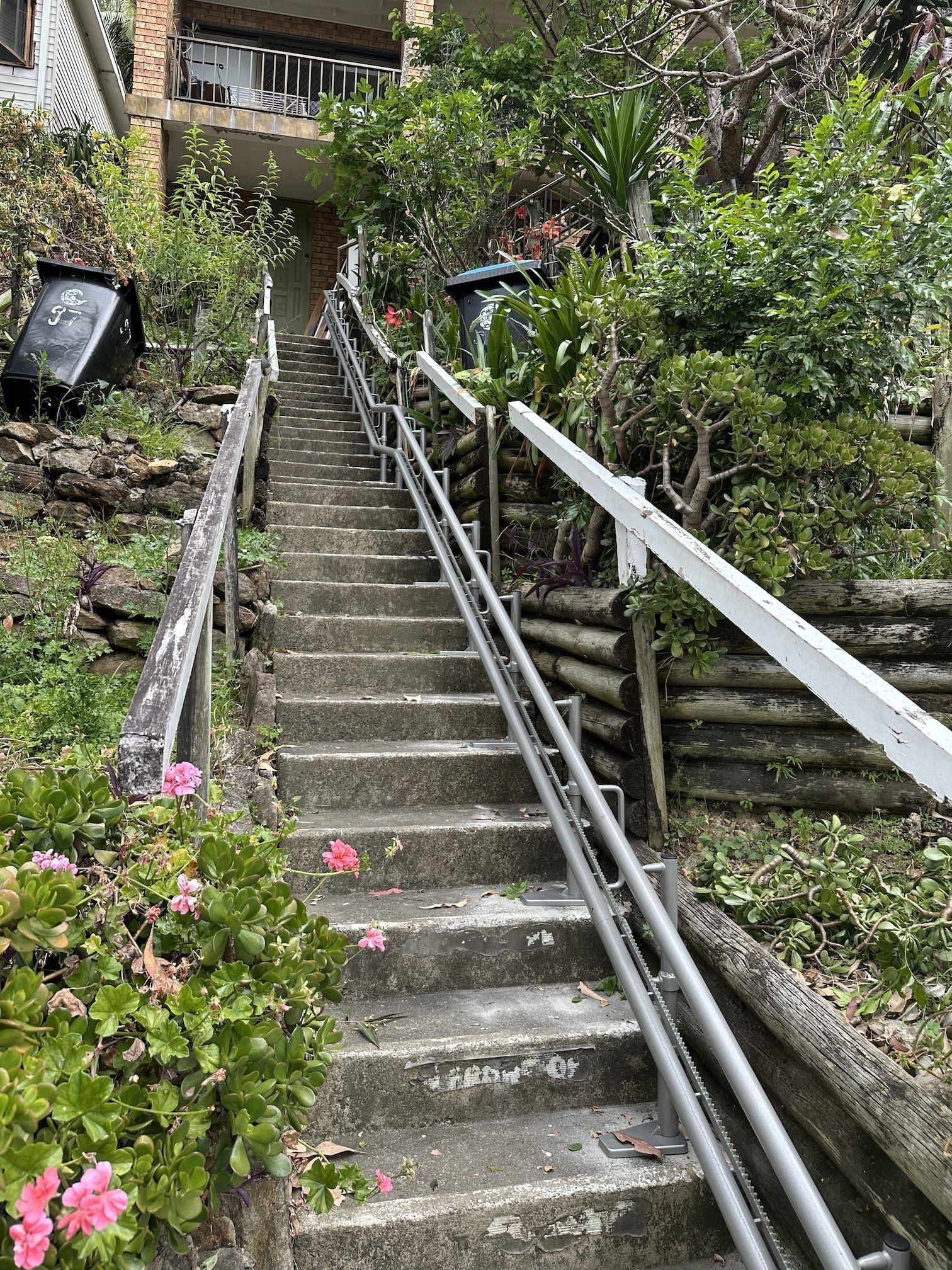 Steep outdoor concrete stairway with handrails beside lush greenery and flowers, leading uphill to homes