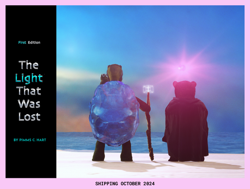 Book Cover Image For The Light That Was Lost.