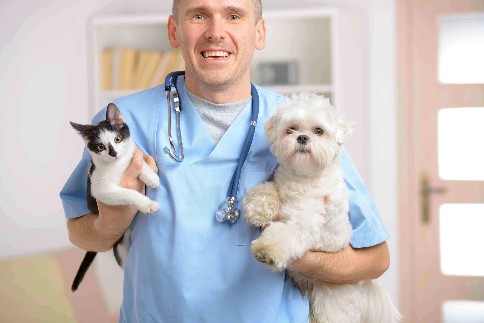 CLÍNICA DE MASCOTAS VETERINARIA EL BUEN PASTOR