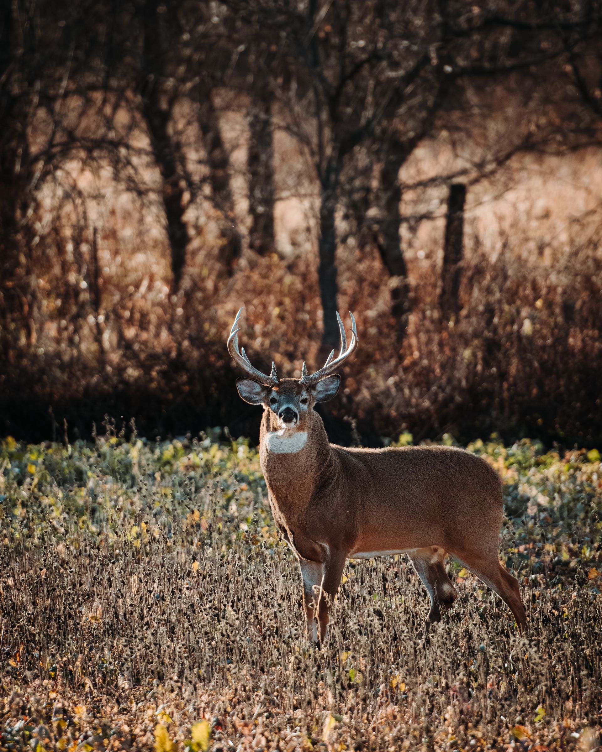 A large metal tank is sitting in the middle of a grassy field.