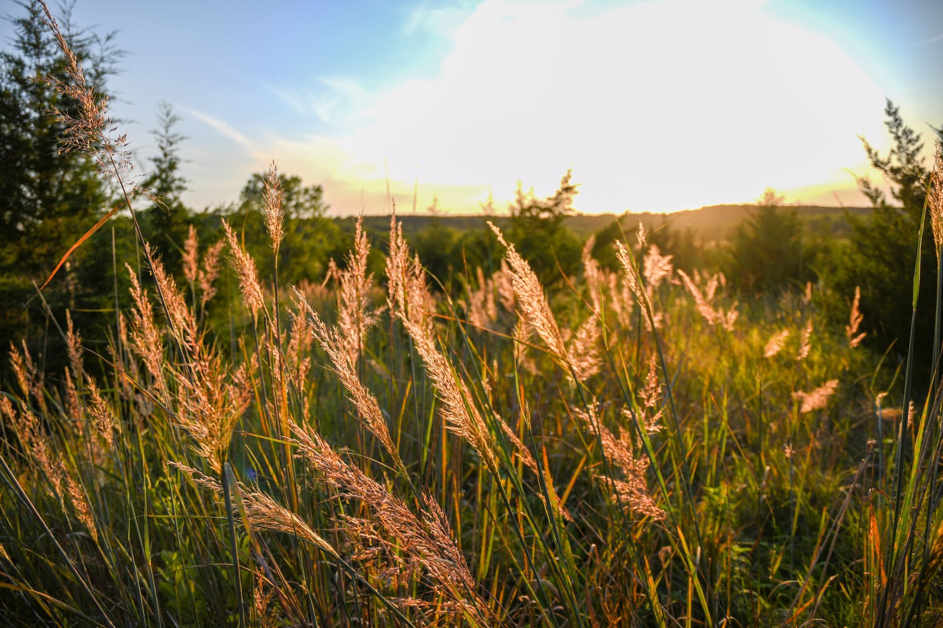 A truck is loading grain into a trailer in a field.