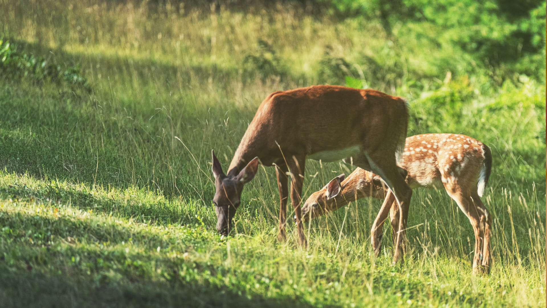 A large metal tank is sitting in the middle of a grassy field.