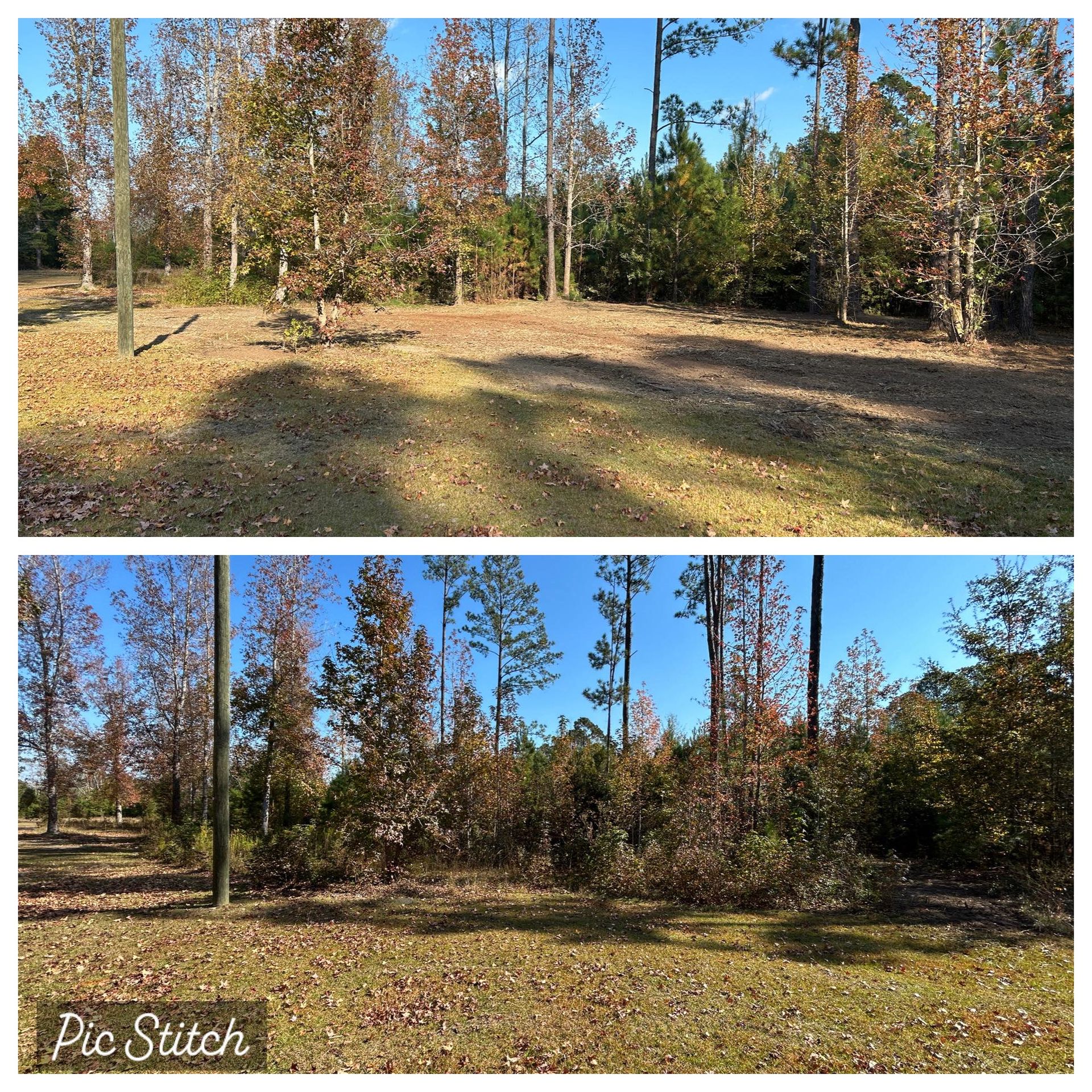 Top: Grassy field with trees and a blue sky. Bottom: Same field with a different perspective.