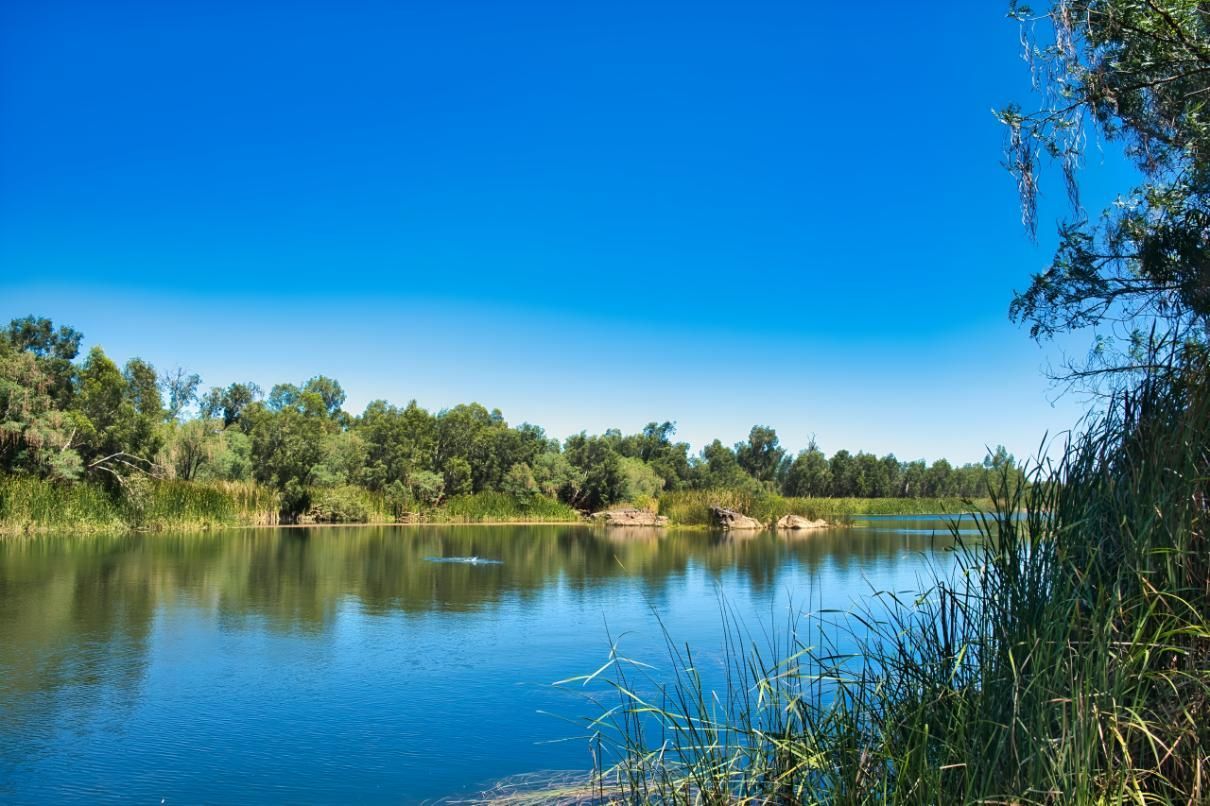 A Large Body of Water Surrounded by Trees on a Sunny Day — Cessnock Batteries In Maitland, NSW
