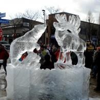 Ice sculpture of a wolf and a moose in a snowy outdoor plaza