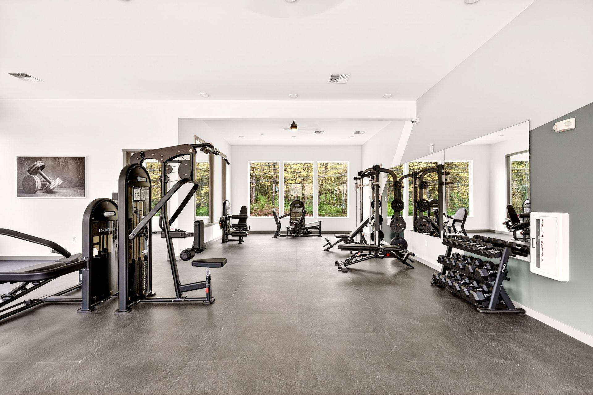 Modern gym interior with exercise machines, dumbbells, and large windows overlooking greenery
