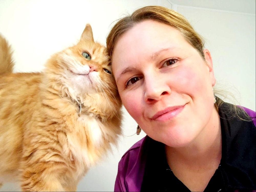 Georgia — Whispurrs Cat Retreat in Beerburrum, QLD