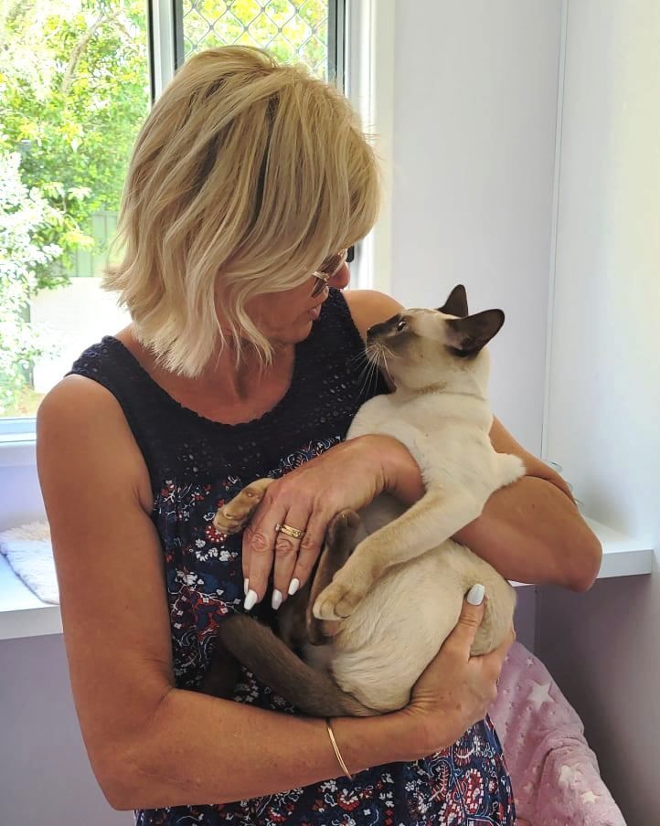 A Woman Is Posing For A Picture With An Orange Cat — Whispurrs Cat Retreat in Beerburrum, QLD