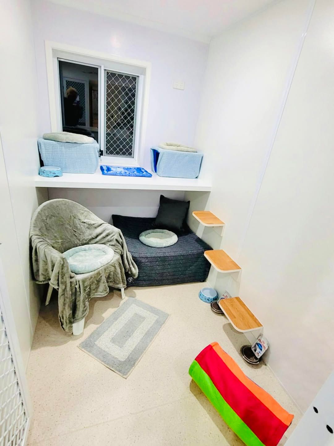 A Cat Bed Is Sitting Under A Window In A Room — Whispurrs Cat Retreat in  Beerburrum, QLD