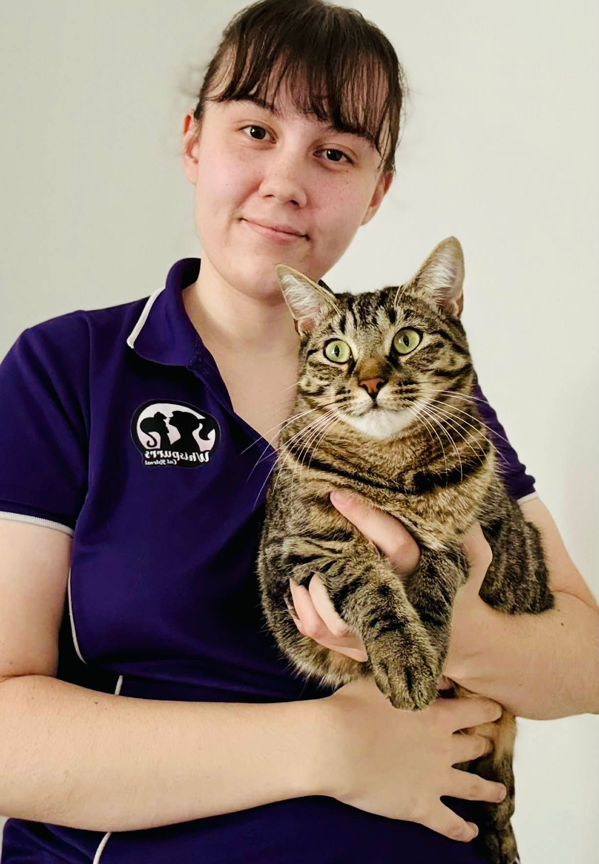 Briar — Whispurrs Cat Retreat in Beerburrum, QLD