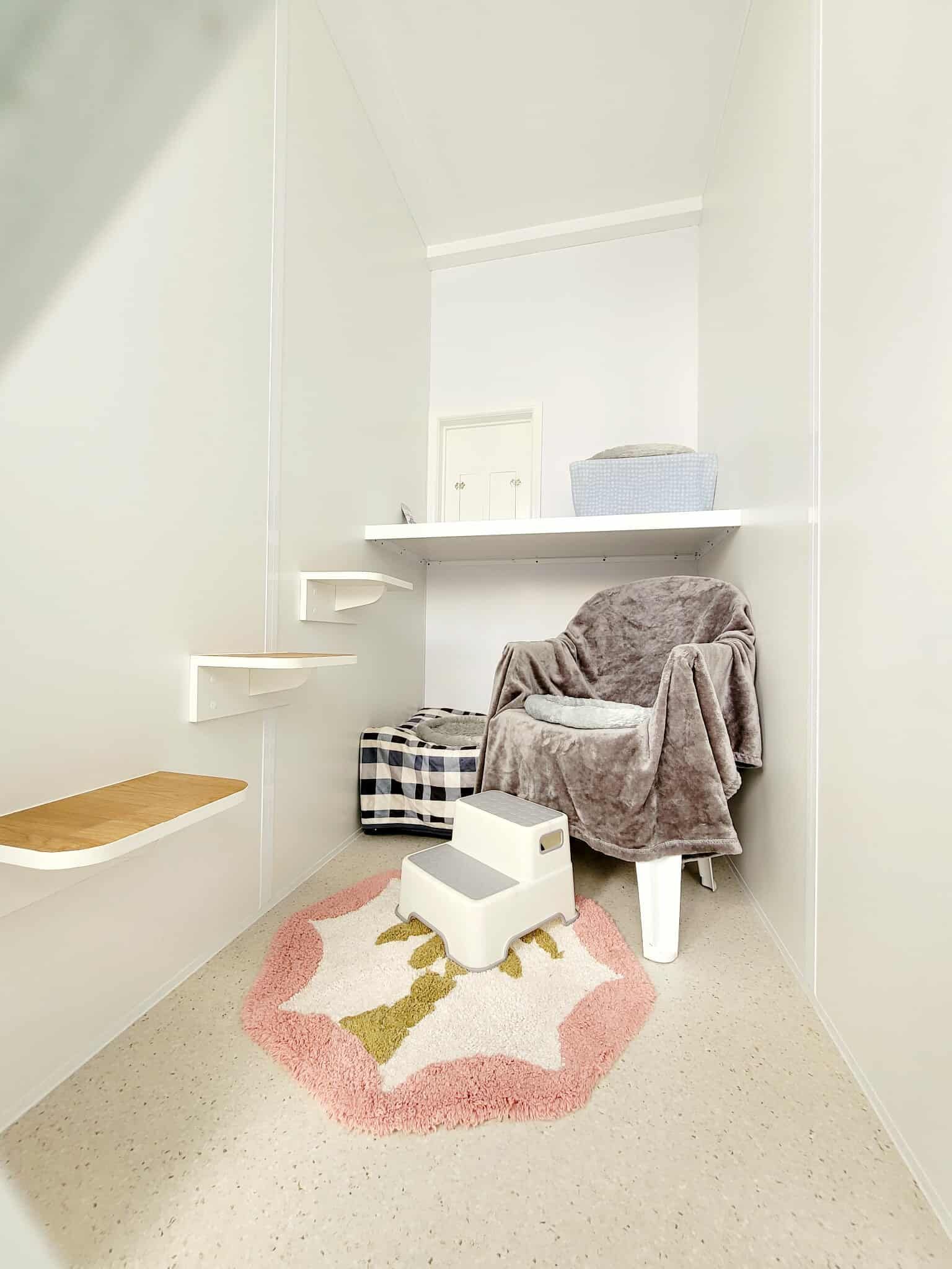 A Cat Is Standing In Front Of A Cat Door — Whispurrs Cat Retreat in  Beerburrum, QLD