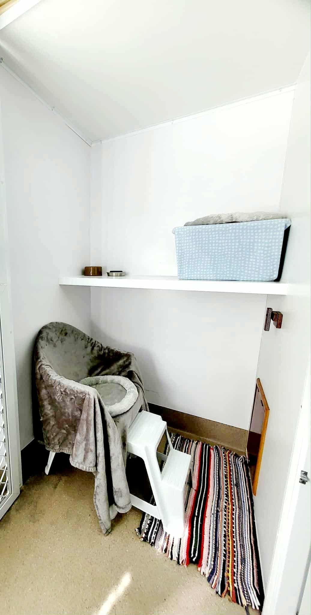 A Small Room With A Chair And A Bed And A Window — Whispurrs Cat Retreat in Beerburrum, QLD